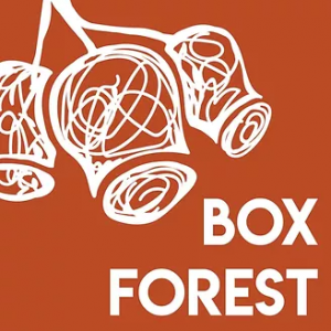 Box Forest