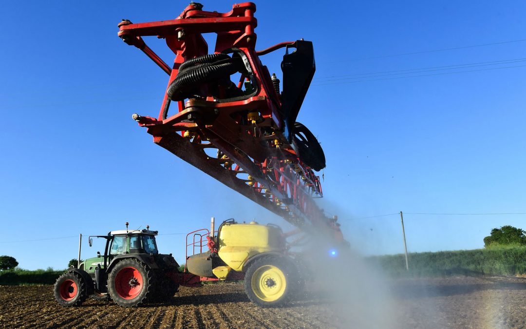 Glyphosate shown to disrupt microbiome ‘at safe levels’, study claims