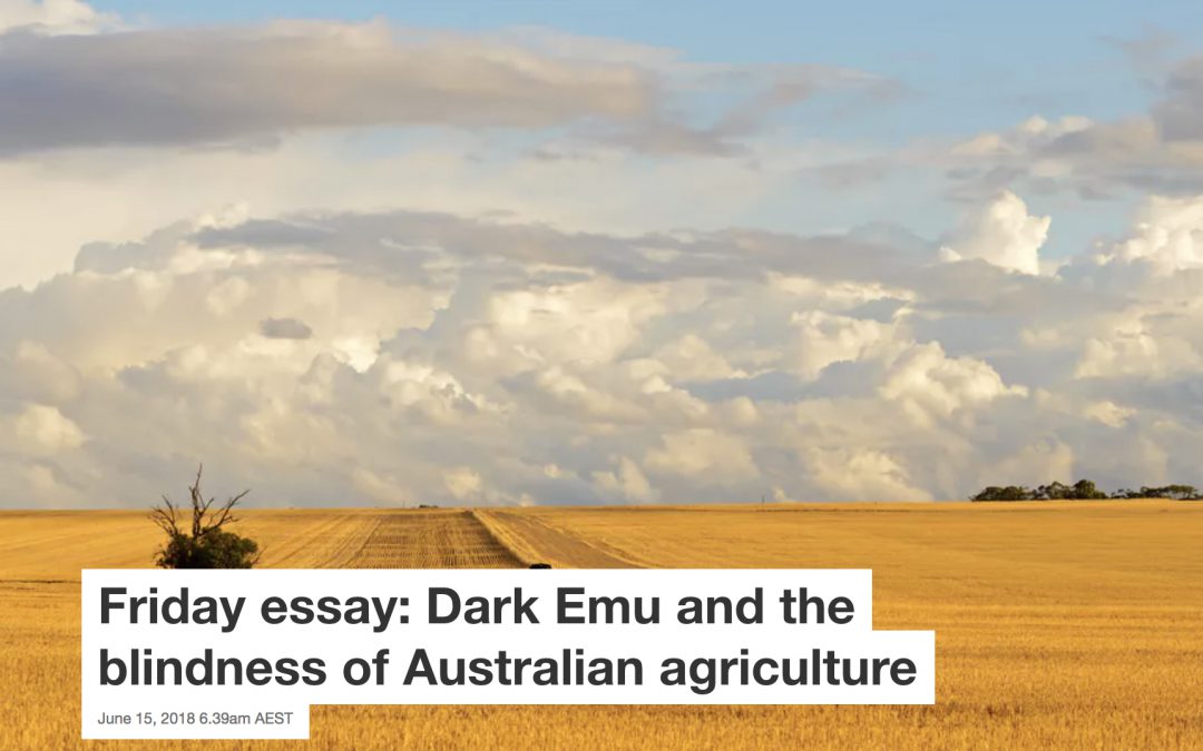 Friday essay: Dark Emu and the blindness of Australian agriculture