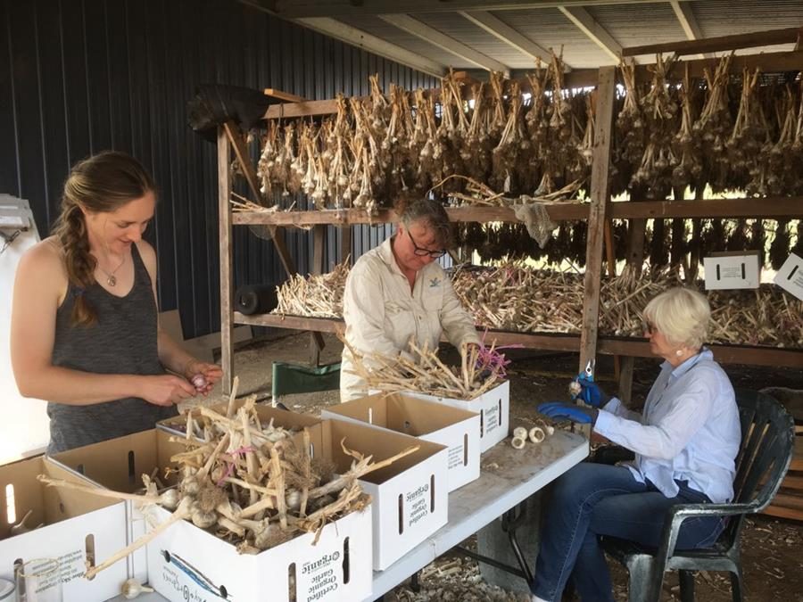 Open Hearts and Hands for Bushfire Affected Farms