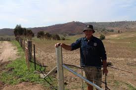 Volunteer and be part of the restoration from bushfires