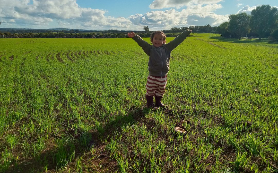 Organic Agriculture – a clear pathway to Net-Zero