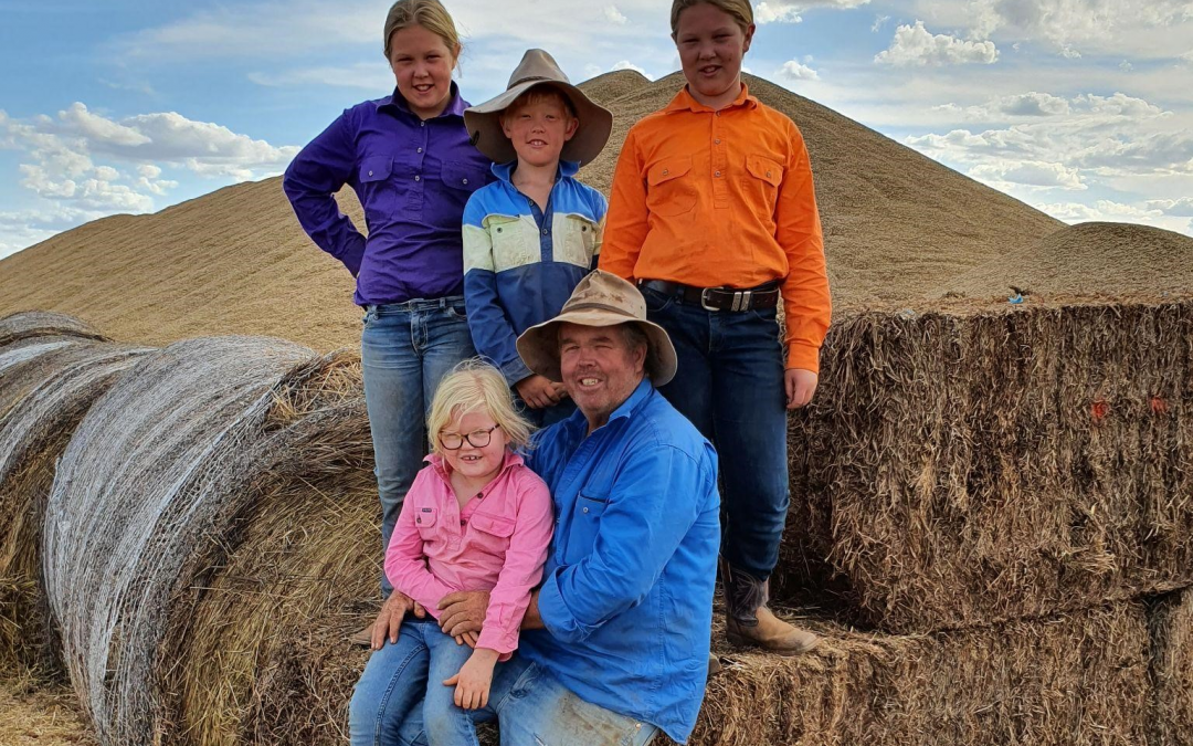 Transparency and technology the key for organic grain producers