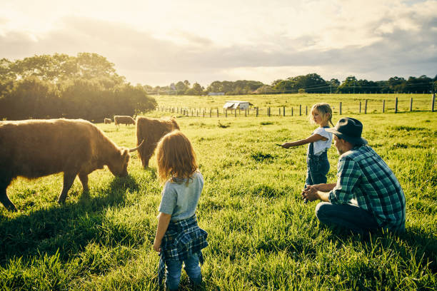 Benmar Farm