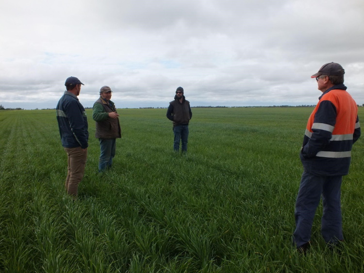 Meet ORCA, the new organic producer brand.  Farm Direct.  Transparent.  Trusted.
